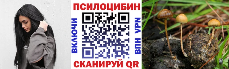 Купить закладки  Выкса  Галлюциногенные грибы Magic Shrooms 