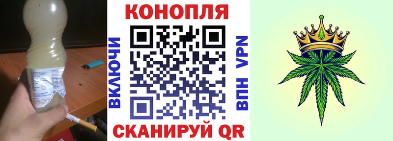 Купить где  Выкса  Бошки марихуана ГИДРОПОН 